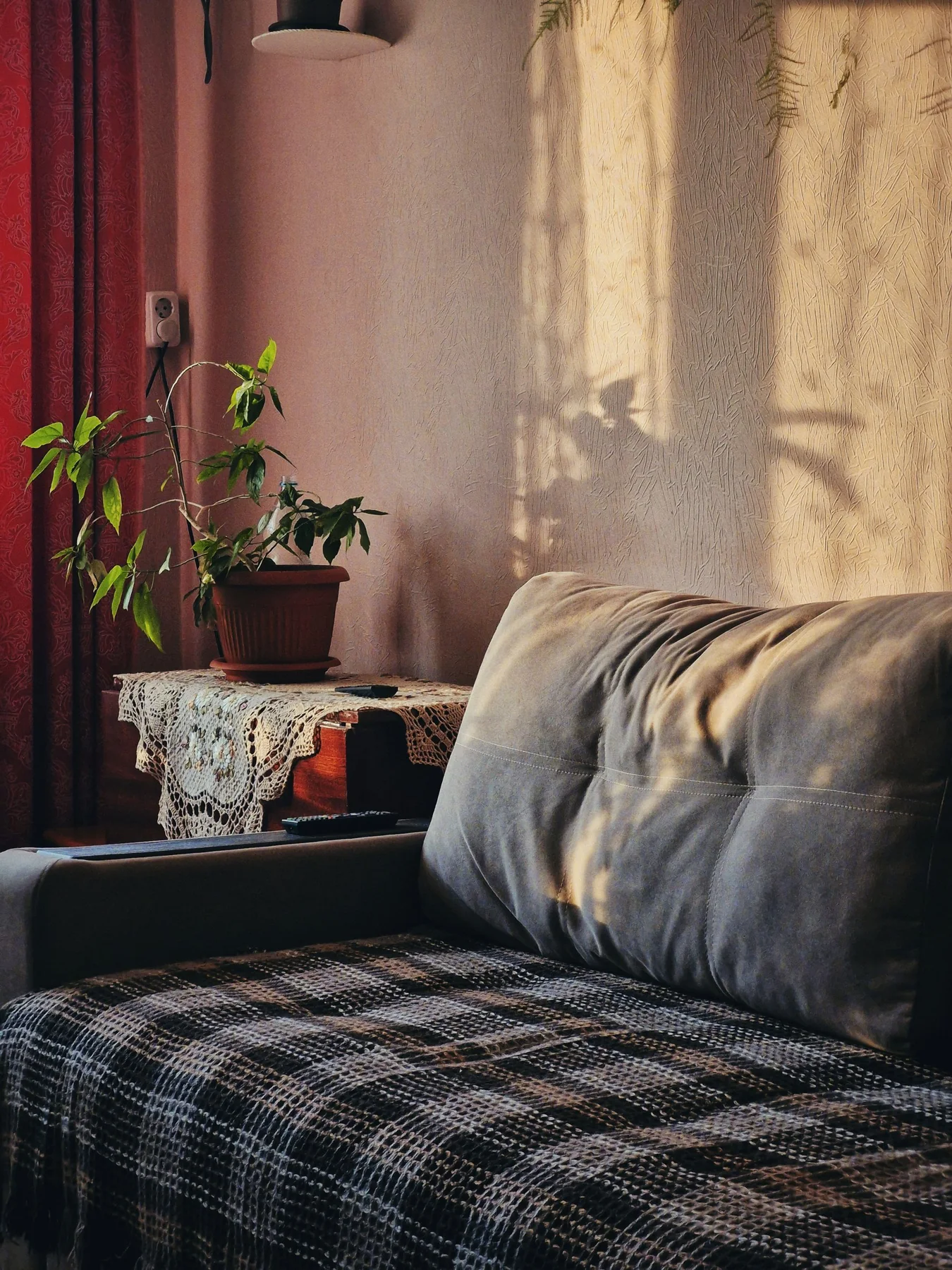 Cozy Indoor Living Room with Sunlit Decor